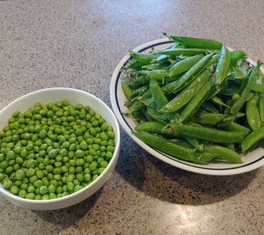 vegetable harvest beans peas