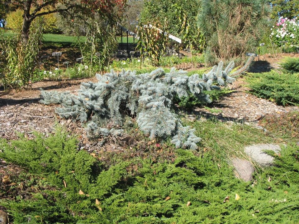 service single images