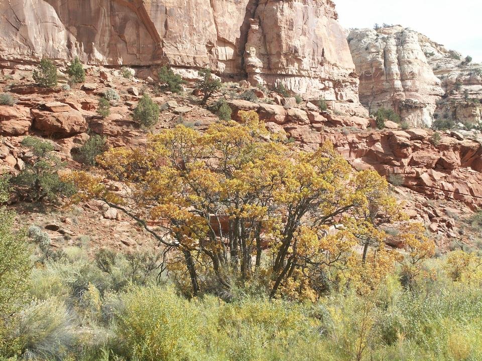 service single images