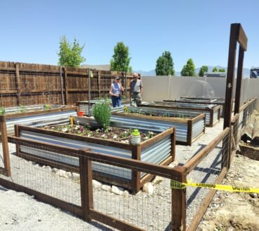 Raised Beds