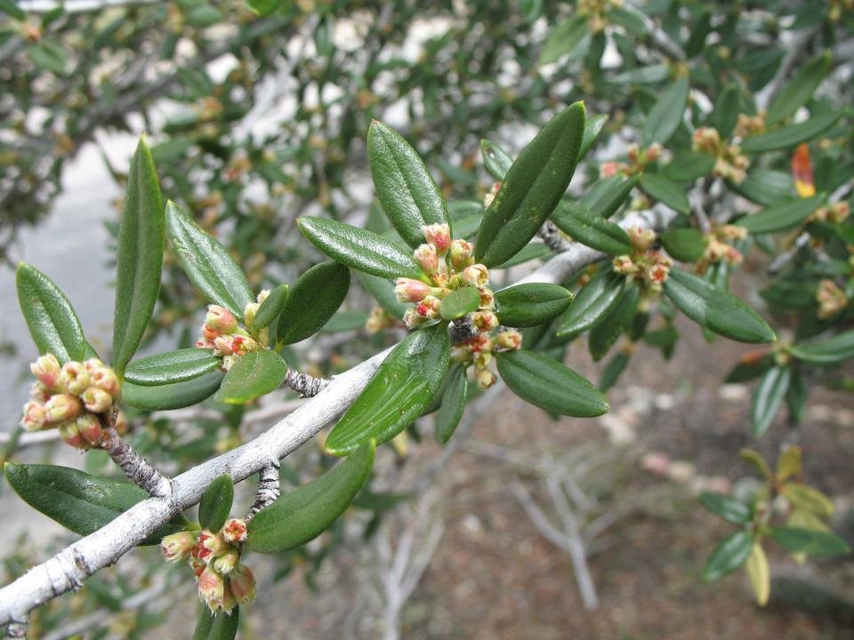 service single images