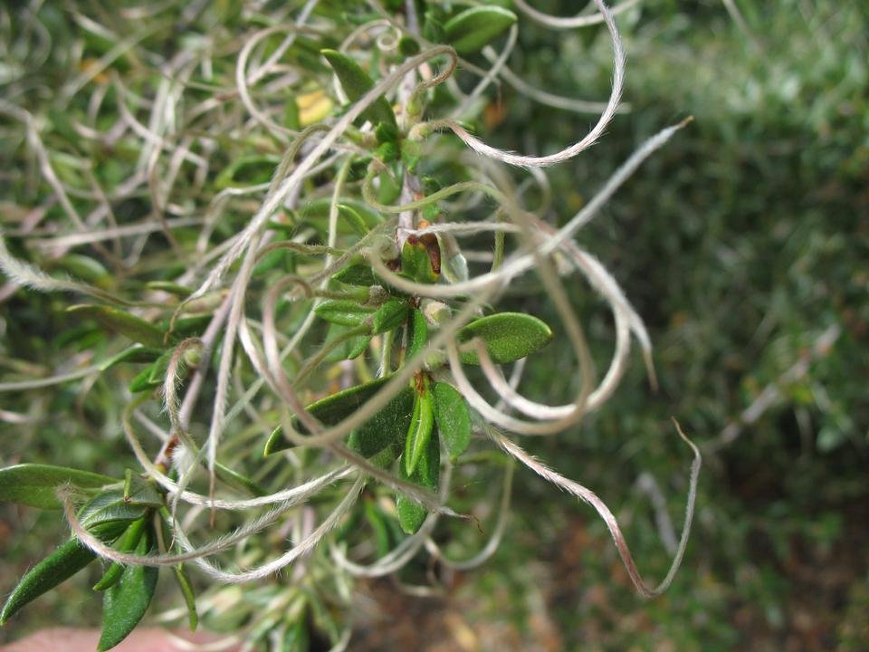 service single images