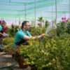 Watering Gardens